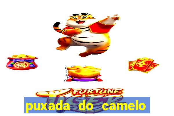 puxada do camelo no jogo do bicho